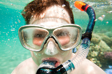 Image showing Snorkeler.  Red sea