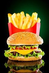 Image showing Tasty hamburger and french fries
