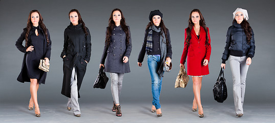 Image showing autumn winter collection  lady's clothes