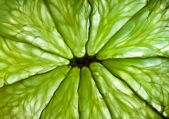 Image showing Photo of a citrus close up.