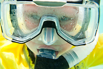 Image showing Snorkeler. Red sea