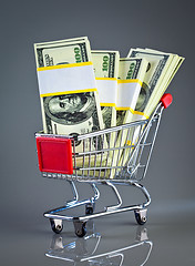 Image showing shopping cart and money