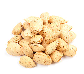 Image showing almond nut