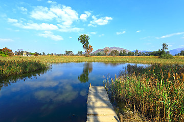 Image showing wet land with pier