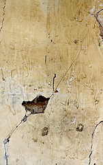 Image showing Dirty old wall