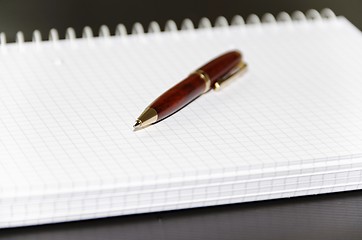Image showing pen