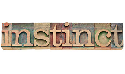 Image showing instinct word in letterpress type