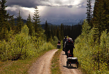 Image showing Bicycling through the wilderness