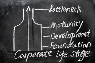 Image showing Corporate life stage analysis