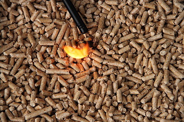 Image showing pellets