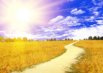 Image showing Wheat field