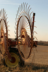 Image showing Wheel Rakes - close-up