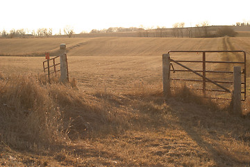 Image showing Golden Glow on a Iowa landscape