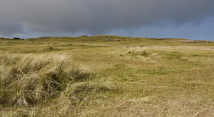 Image showing dunes in north scotland