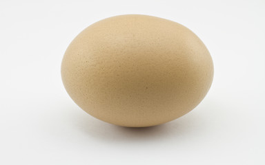 Image showing Chicken Egg