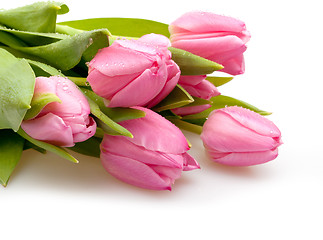 Image showing Tulips