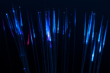 Image showing Optical fibers