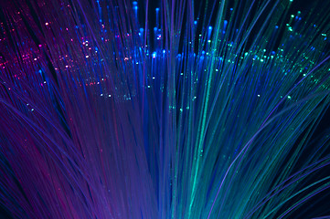 Image showing Optical fibers