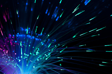 Image showing Optical fibers