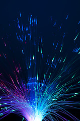 Image showing Optical fibers