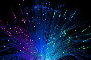 Image showing Optical fibers