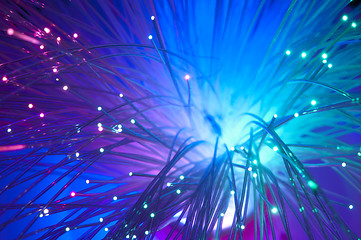 Image showing Optical fibers