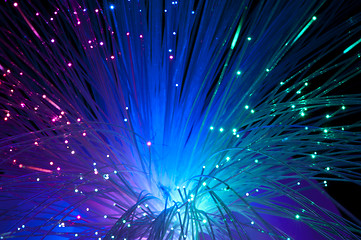 Image showing Optical fibers