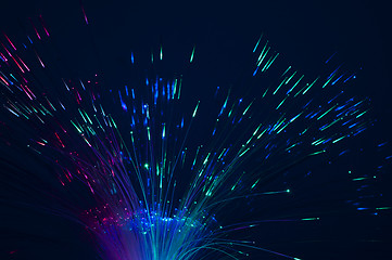 Image showing Optical fibers