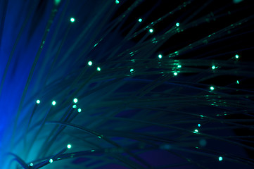 Image showing Optical fibers