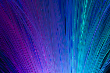 Image showing Optical fibers