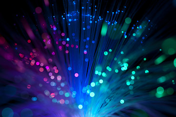 Image showing Optical fibers