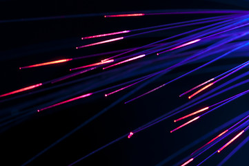 Image showing Optical fibers