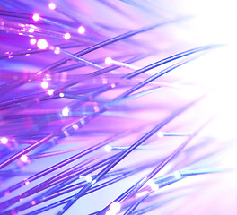 Image showing Optical fibers