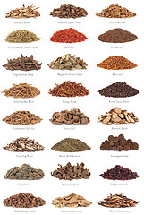 Image showing Chinese Herbal Medicine with Titles