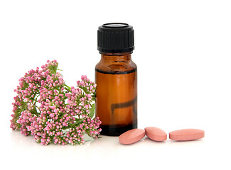 Image showing Valerian Herb Therapy