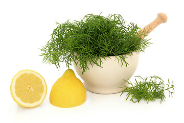 Image showing Dill Herb and Lemon 