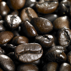 Image showing roasted coffee beans