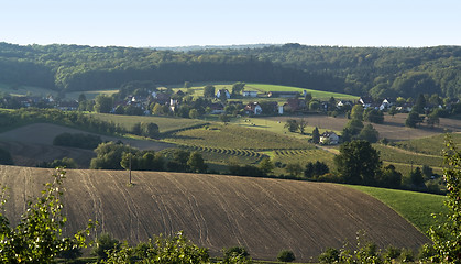 Image showing agricultural view around Emmendingen