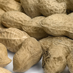 Image showing unpeeled peanuts