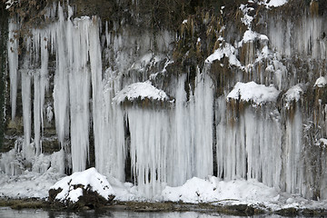 Image showing lots of icicles