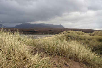 Image showing overgrown dunes and dramatic sky