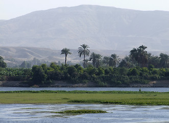 Image showing egyptian Nile coast scenery