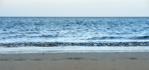 Image showing Crane beach detail