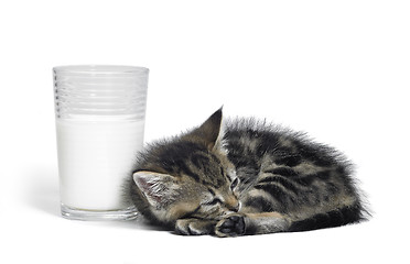 Image showing kitten besides a glass of milk