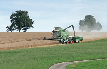 Image showing harvesting harvester on a crop field