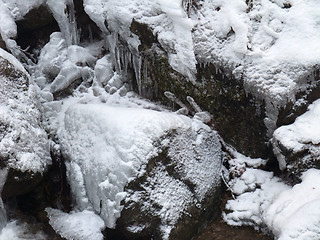 Image showing winter detail with snow and ice