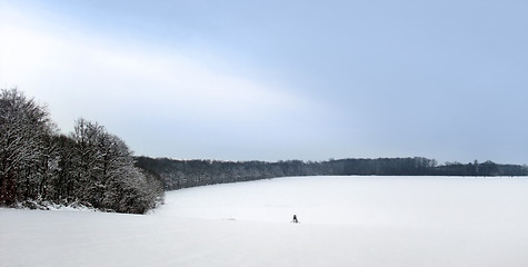 Image showing winter scenery in Hohenlohe