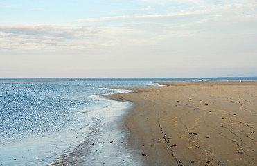 Image showing Crane Beach coastal scenery