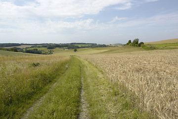 Image showing rural panoramic scenery with field path