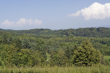 Image showing summertime scenery around Liliental